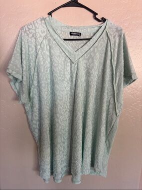 Hemish USA Pale Mint V-Neck Textured Animal print Short Sleeve Top